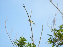 -白塘生态植物园