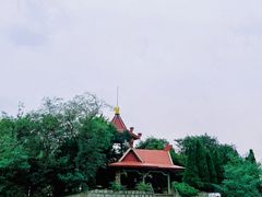 -青岛电视塔