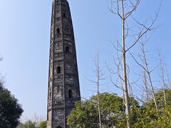 -上海佘山国家森林公园天马山园