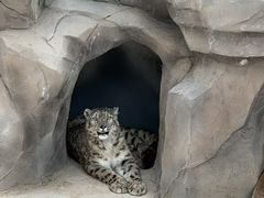 -青藏高原野生动物园
