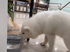 -佳雯宠物医院(四明中路分院)