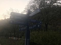 -延安杨家岭革命旧址