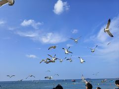 -那香海钻石沙滩浴场