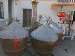 -苏州市吴中区光福窑上花果蜜饯厂