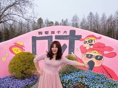 -荷兰花海