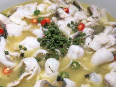 -青花椒花椒鱼(合生汇店)