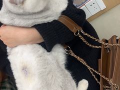-瑞派康怡24h宠物医院·犬猫医疗中心·微创绝育(瑞景分院)