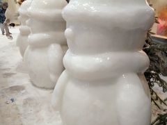-世界之窗阿尔卑斯冰雪世界