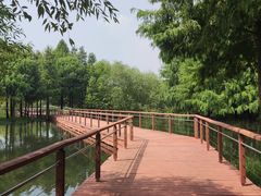 -贡湖湾湿地公园