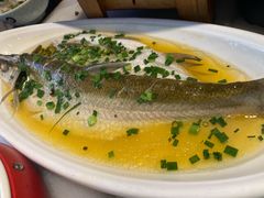 鸡汁蒸白鱼-京城小江南·北京烤鸭·江南土菜·白鱼(中关村店)