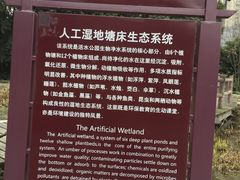 -成都市活水公园
