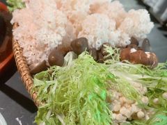 -云海肴云南菜·蒸汽石锅鱼(青岛万象城店)
