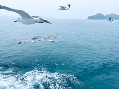 -海驴岛(荣成市)