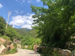 -木兰云雾山