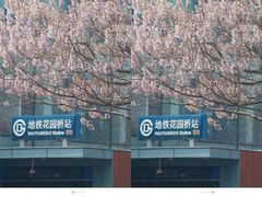 -花园桥(地铁站)