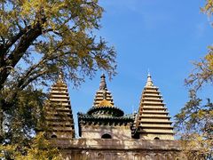 -北京石刻艺术博物馆(五塔寺)