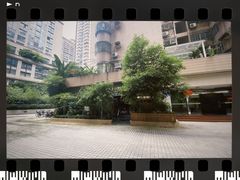 -咖法森林·咖啡  酒吧(天河店)