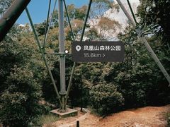 -火炉山森林公园