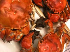 -金鸡湖高尔夫会员专属俱乐部