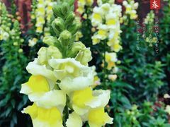 -白鹭湾湿地公园