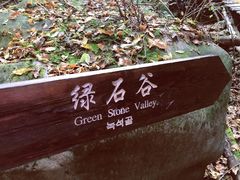 -本溪汤沟绿石谷森林公园
