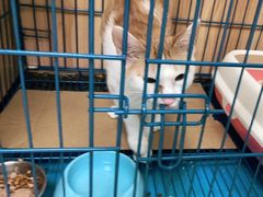 -安安宠医·安宠宠物医院