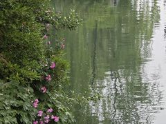 -济南大明湖景区