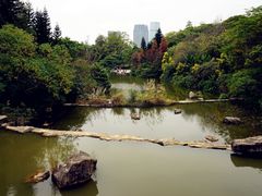 -云溪植物园