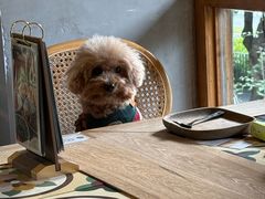 -时光花园(白鹭洲店)