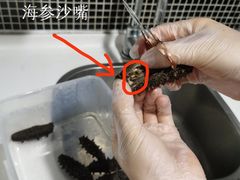 -宫品海参专卖店(静安大宁店)