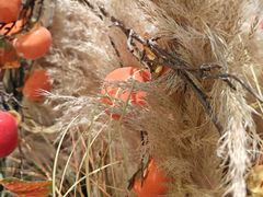 -满兴咱妈烀饼铁锅炖(兰州北街店)