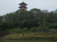 -中国沉香文化博物馆