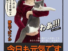 -李小姐の猫咖啡馆(五角场店)