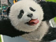 -SFC上影影城(杭州下沙IMAX店)