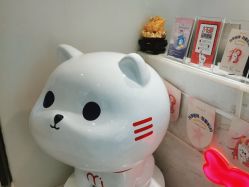 点击看大图 -咪咪专业脱毛连锁机构