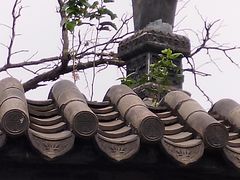 -杨柳青古镇