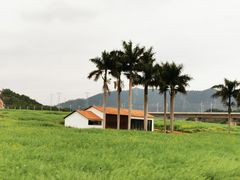 -光明小镇欢乐田园