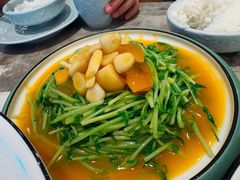 金汤豆苗-火婆子·川小馆(扬韬科技广场店)