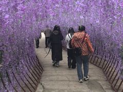 -石燕湖生态旅游景区