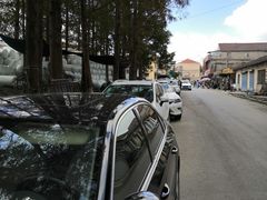 -芦潮港集贸市场