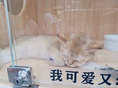 -时尚天河商业广场