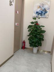-禾美嘉医疗美容