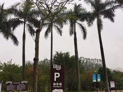 -聚龙山公园