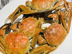 -蓝钻·国际美食海鲜自助百汇(西直门店)