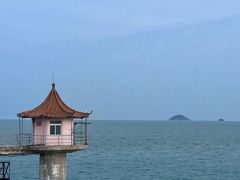 -小麦岛公园