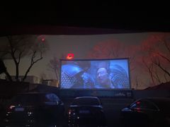 -枫花园汽车电影院(朝阳公园店)
