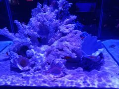 -乌鲁木齐海洋馆