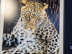 -罗红摄影艺术馆