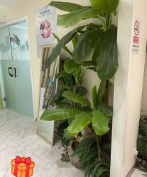 -健身堂科技美肌SPA
