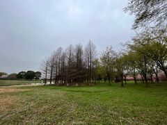 -苏州太湖国家湿地公园